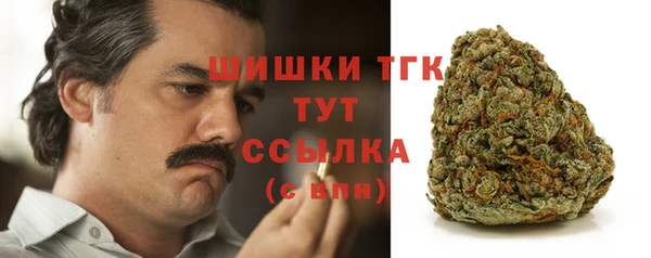 бошки Няндома