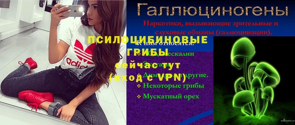 бошки Няндома