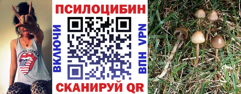 Галлюциногенные грибы мицелий  Курильск 