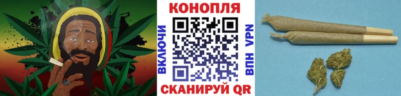МАРИХУАНА сатива  Курильск 